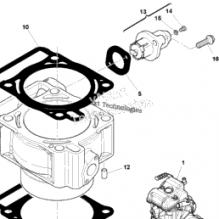 OIL SEAL SET ENGINE - TC250 / TE250 2010