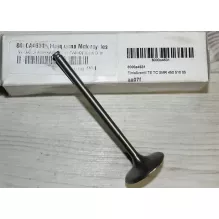 VALVE, INTAKE (TITANIO)