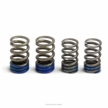ProCircuit VALVE SPRINGS, YZ250F 2019-2024
