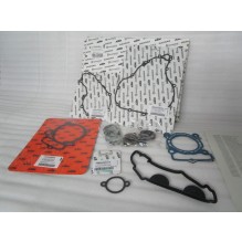 Seal Kit Engine MX - FC250 2016-2022
