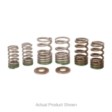 ProCircuit Kawasaki Valve Springs - KX250 2025-